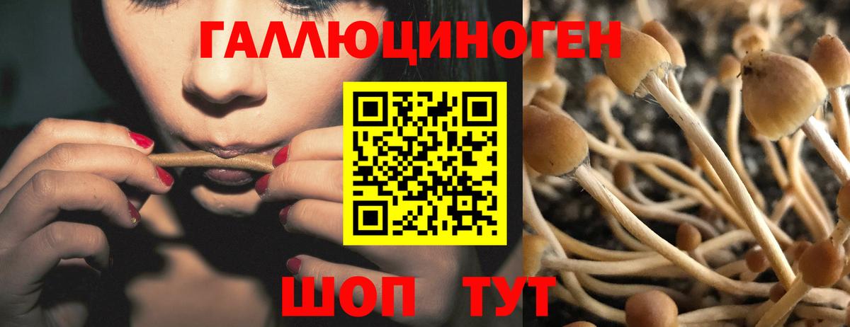 Гашиш  Вход с VPN  КОКАИН  Кунгур  Канабис  МЕФ кристаллы 