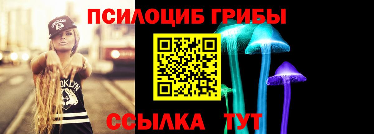 Галлюциногенные грибы Psilocybine cubensis Кунгур